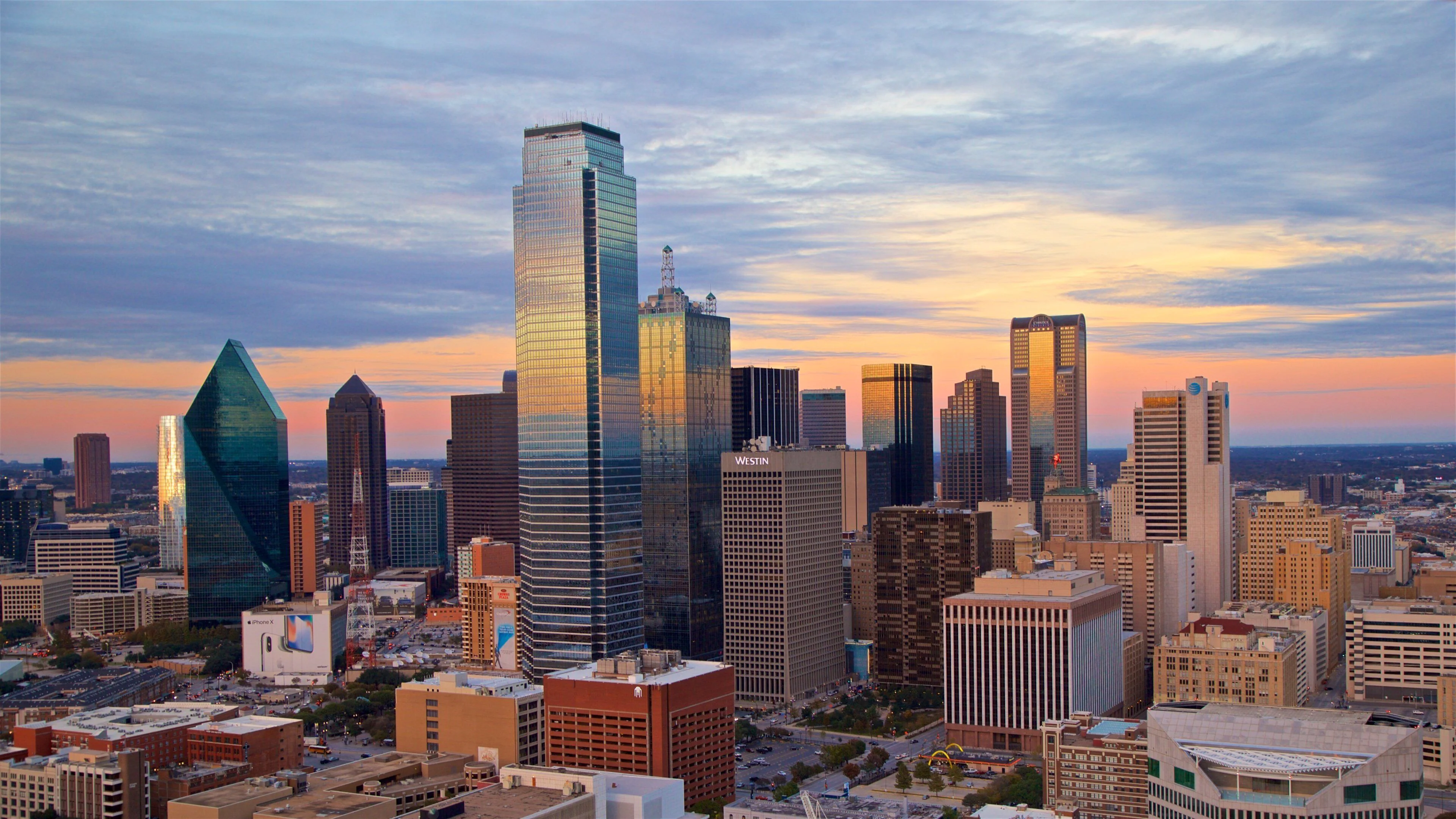 Artificial grass installation in Dallas, TX, TX